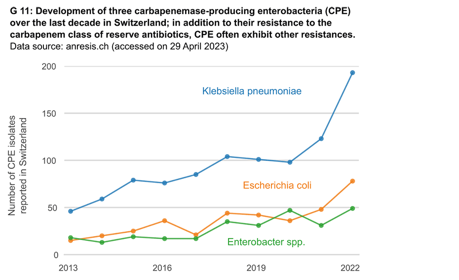 Enlarged view: G 11: Development of three carbapenemase-producing enterobacteria (CPE) over the last decade in Switzerland; in addition to their resistance to the carbapenem class of reserve antibiotics, CPE often exhibit other resistances.