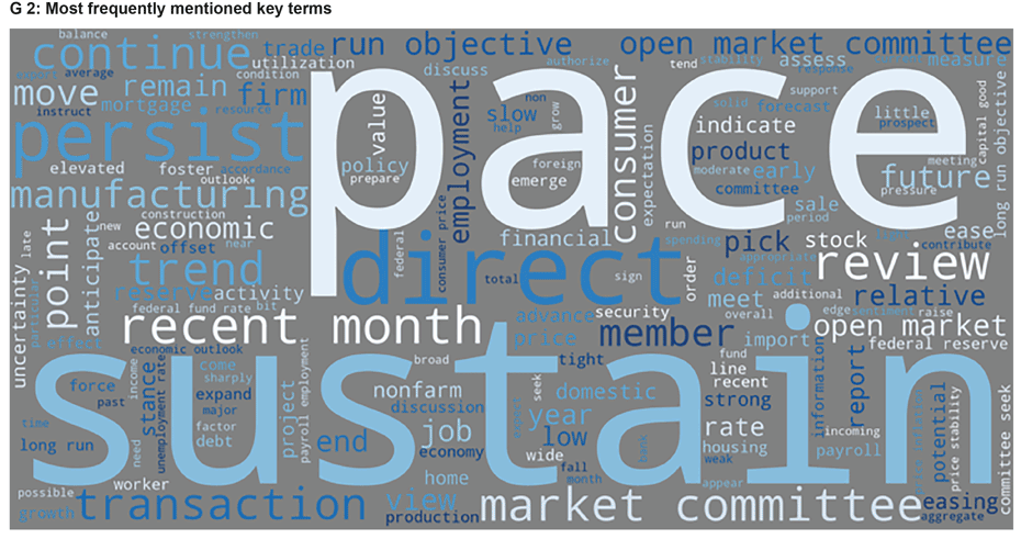 Enlarged view: G 2: Most frequently mentioned key terms. The words "pace" and "sustain" are capitalised. Smaller words include "persist", "direct" and "review". Other words are even smaller.